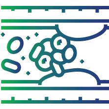 A condition called disseminated intravascular coagulation occurs when the body consumes more fibrinogen.