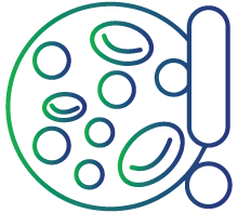 Have immature blood cells present in the blood