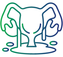 Vaginal discharge having a foul or unusual smell