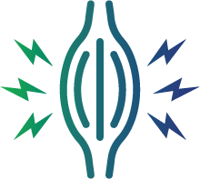 Soreness in the muscles