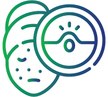 Visible skin changes