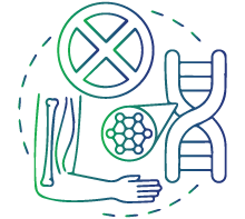 Muscular dystrophy (non-functioning of skeletal muscles)
