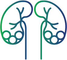 Look for kidney stones