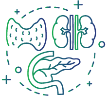 Hormonal disorders included in newborn screening are:   •	Congenital hypothyroidism •	Congenital adrenal hyperplasia