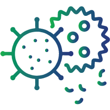 Infections (affecting heart valves, bones, spinal cord or brain)