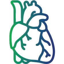 Individuals with an increased risk of heart diseases such as coronary artery disease