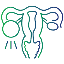 To evaluate polycystic ovary syndrome (PCOS)