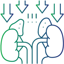 Have primary adrenal insufficiency