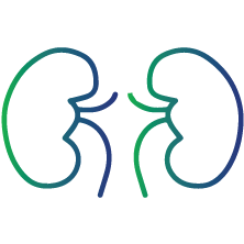 Abnormal kidney structure