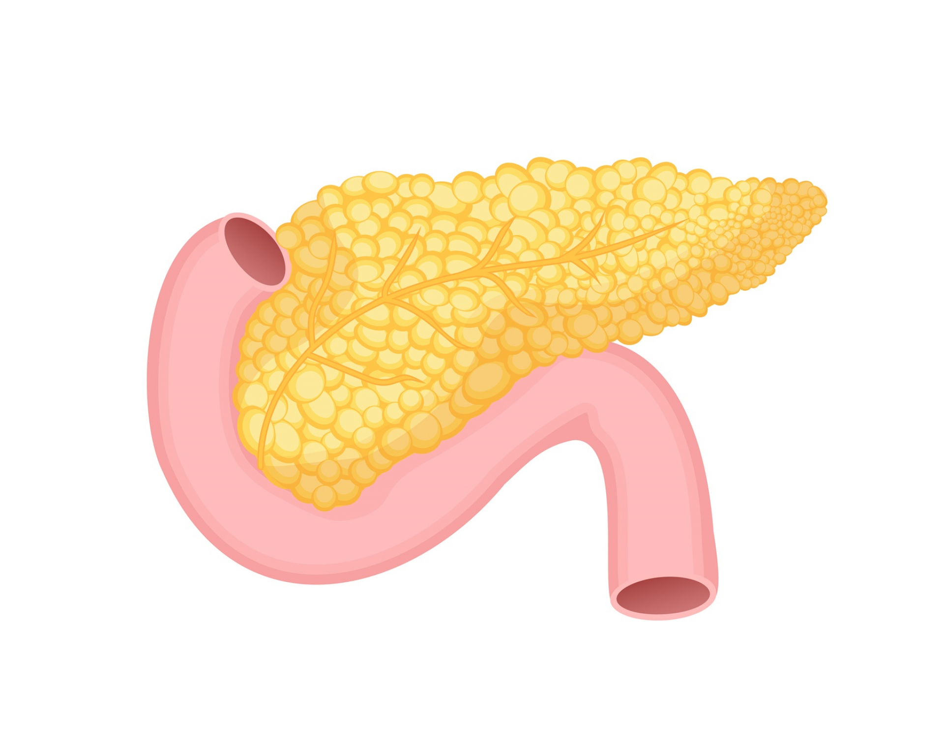 fasting-insulin-levels-normal-range-test-results-and-interpretation