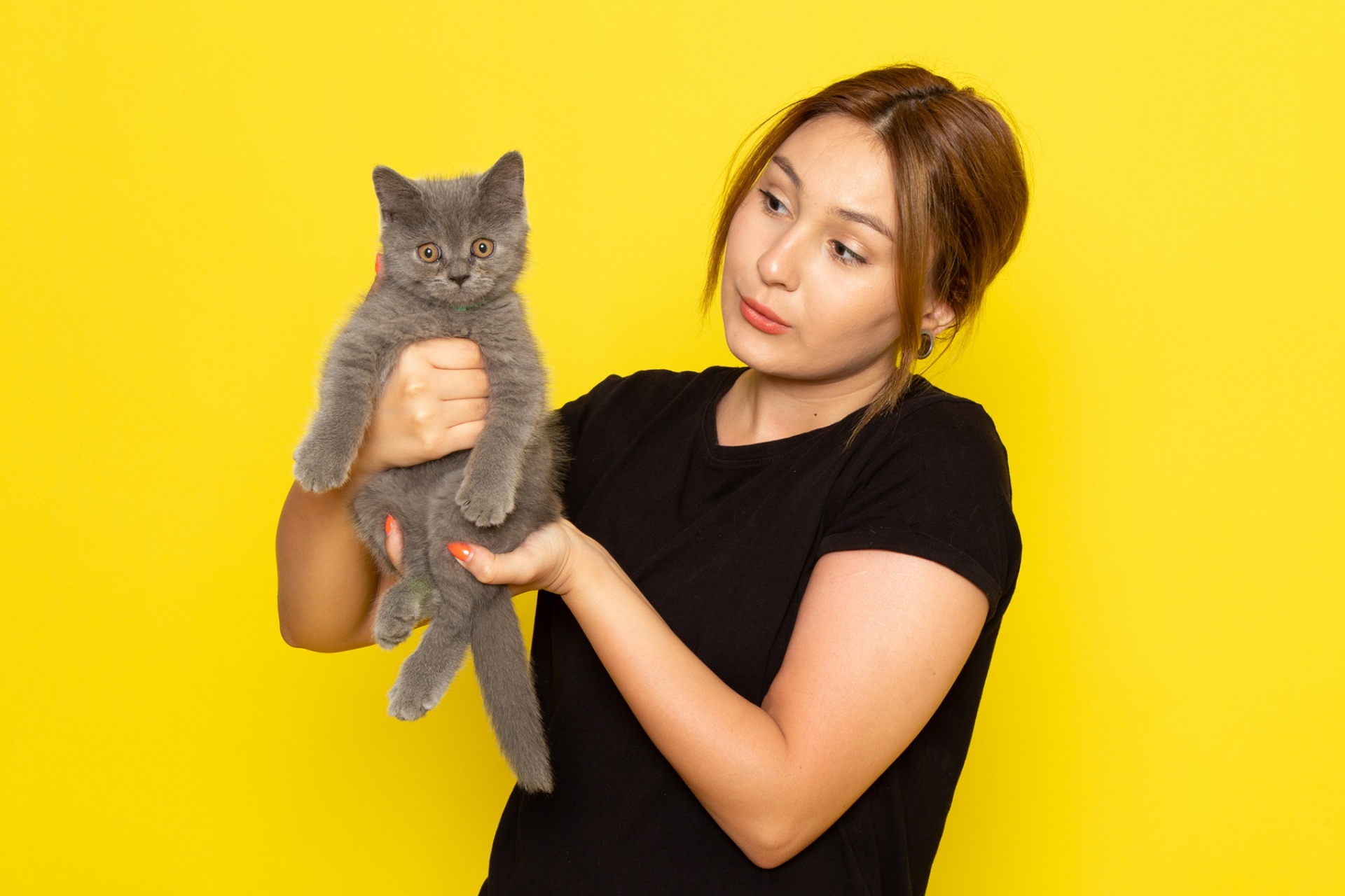 understanding-cat-dander-allergy-testing-causes-and-treatment