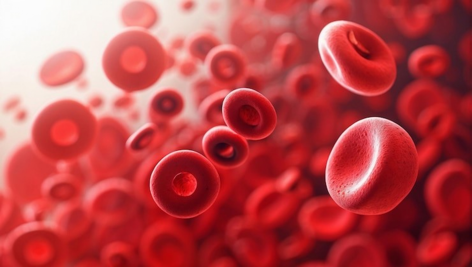 why-anemia-often-goes-undiagnosed-and-how-to-spot-the-signs-early