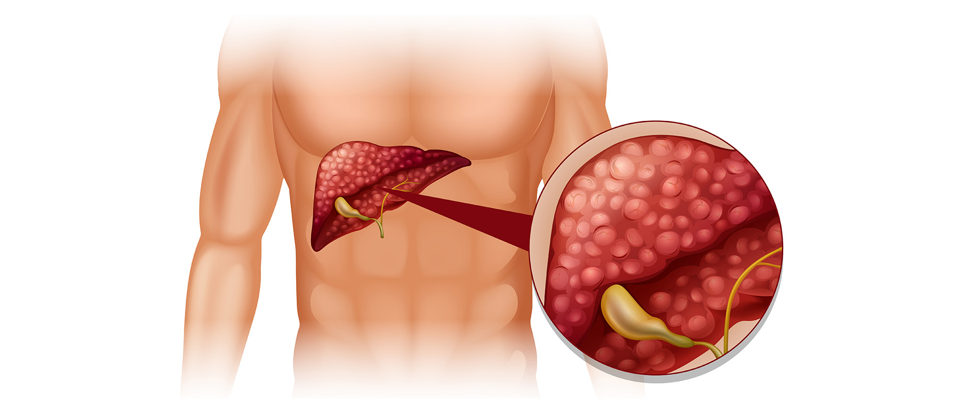 know-more-about-liver-function-tests