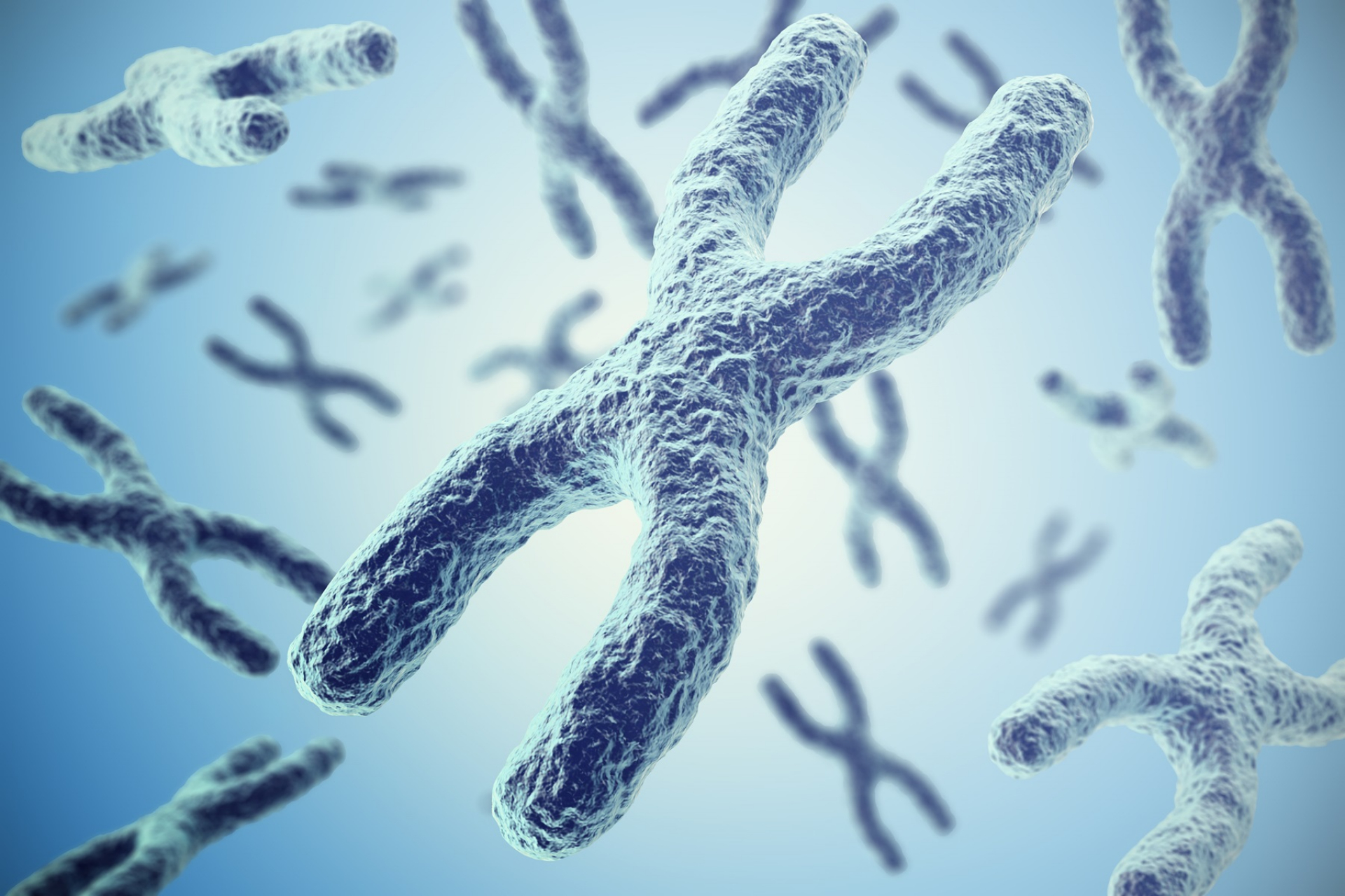 understanding-karyotyping-by-g-banding-how-it-helps-in-genetic-diagnosis