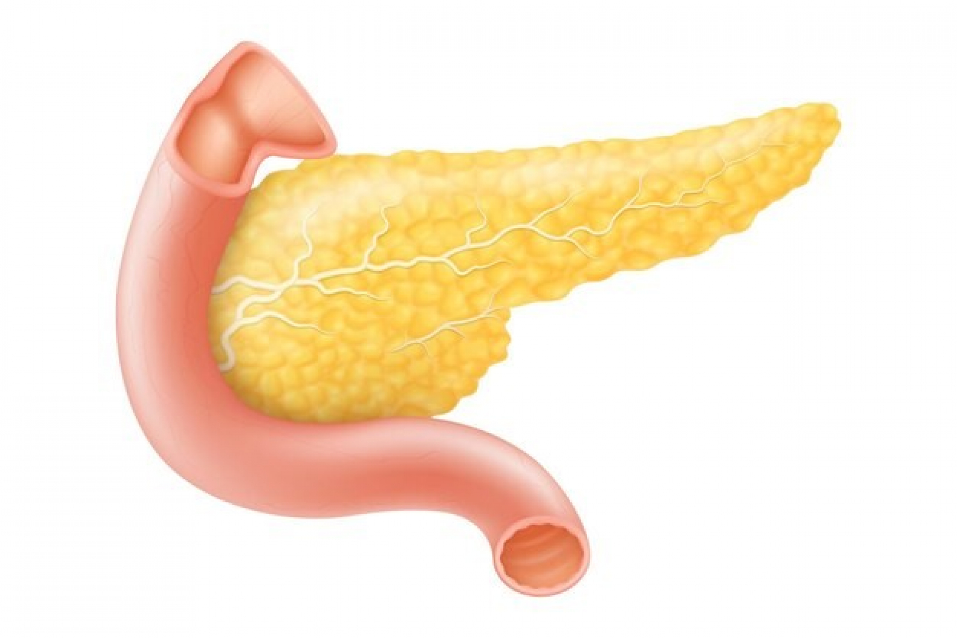 c-peptide-levels-what-they-indicate-about-pancreatic-function