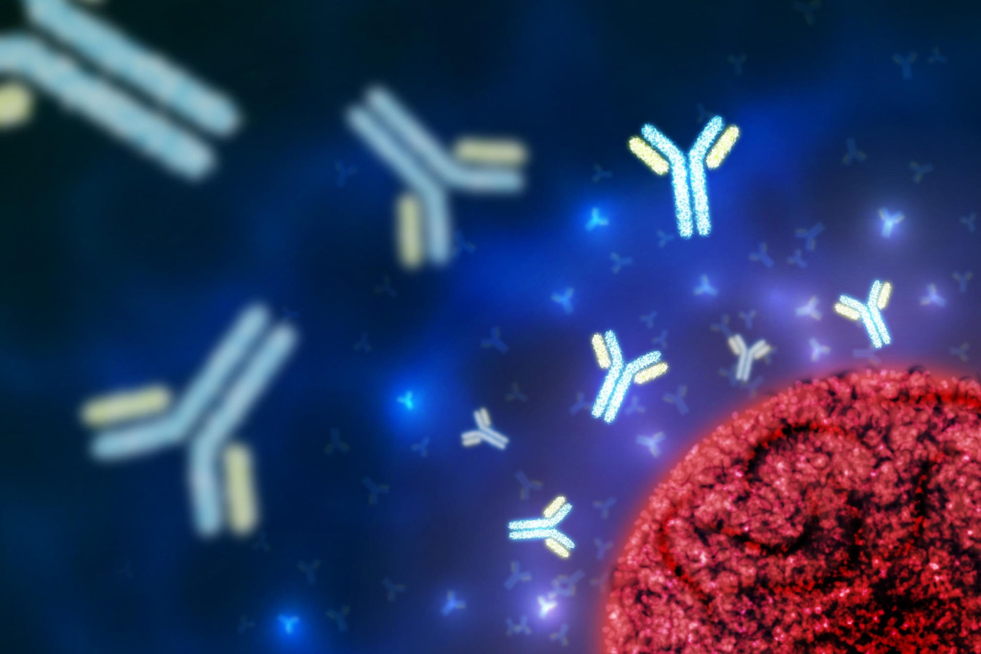 immunoglobulins-and-antibodies-key-insights-from-the-igm-test